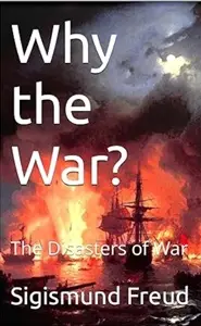 Why the War?: The Disasters of War